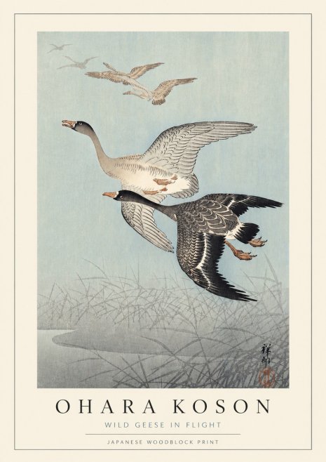 Ohara Koson Wild Geese in Flight II No3 - Poszter