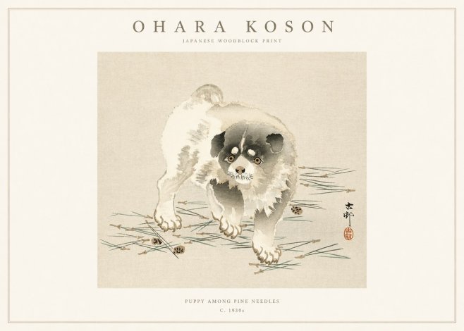 Ohara Koson Puppy Among Pine Needles No1 - Poszter