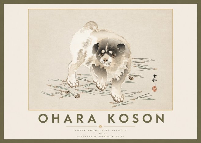 Ohara Koson Puppy Among Pine Needles No2 - Poszter