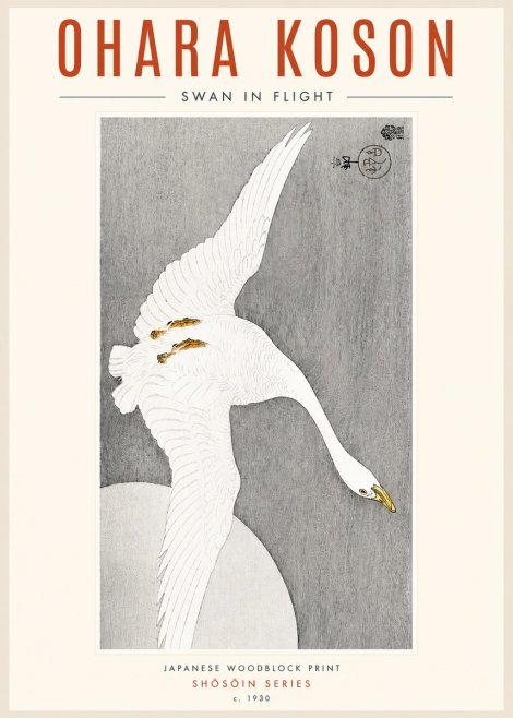Ohara Koson Swan in Flight No4 - Poszter