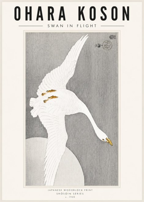Ohara Koson Swan in Flight No5 - Poszter