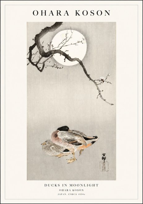 Ohara Koson Ducks in Moonlight No1 - Poszter