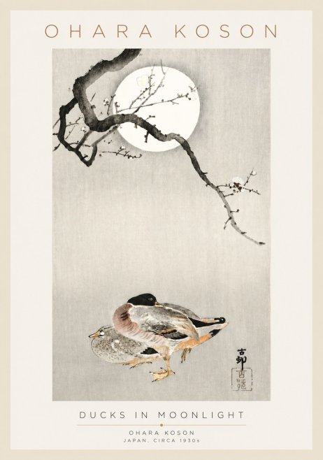 Ohara Koson Ducks in Moonlight No3 - Poszter