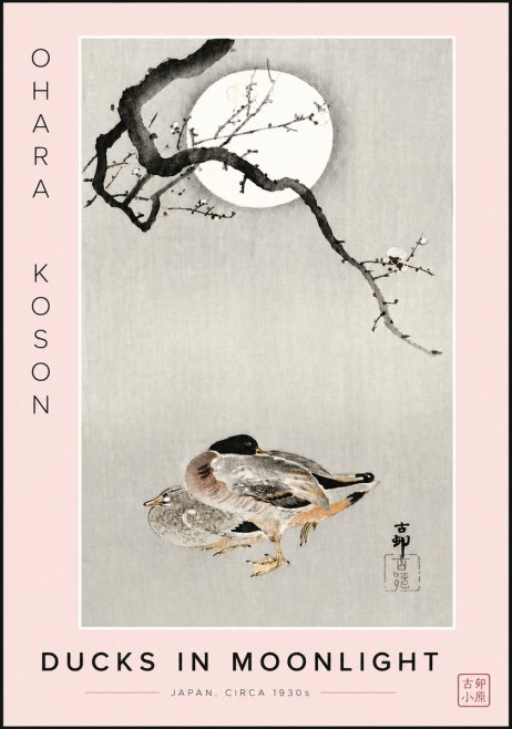 Ohara Koson Ducks in Moonlight No6 - Poszter