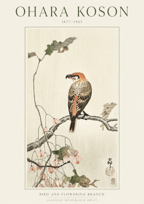 Ohara Koson Bird and Flowering Branch No1 - Poszter