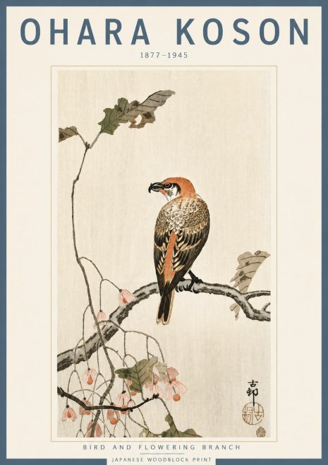 Ohara Koson Bird and Flowering Branch No4 - Poszter