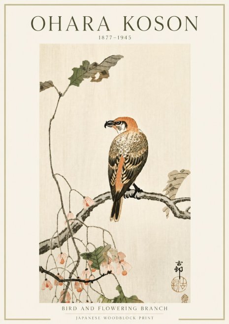 Ohara Koson Bird and Flowering Branch No5 - Poszter