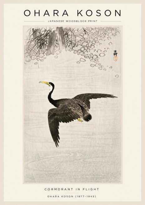 Ohara Koson Cormorant in Flight No3 - Poszter