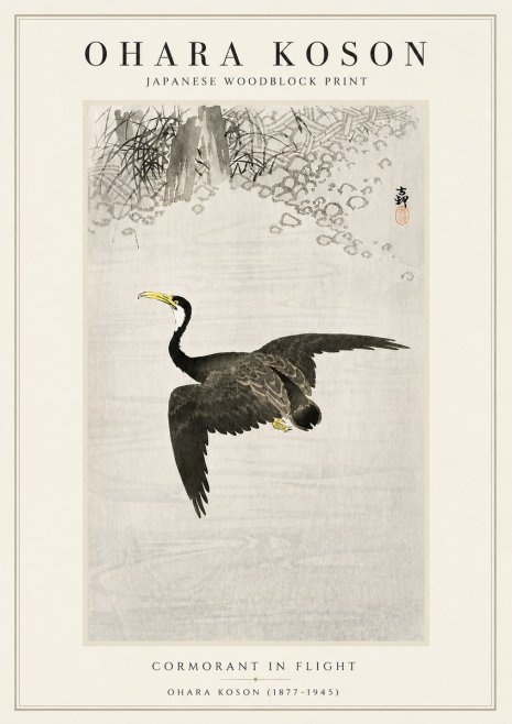 Ohara Koson Cormorant in Flight No5 - Poszter
