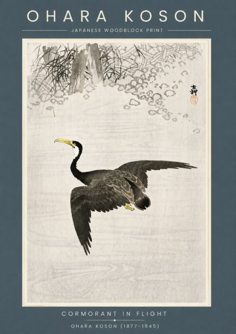 Ohara Koson Cormorant in Flight No6 - Poszter