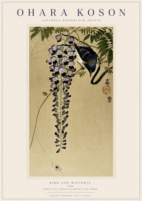 Ohara Koson Bird and Wisteria No3 - Poszter