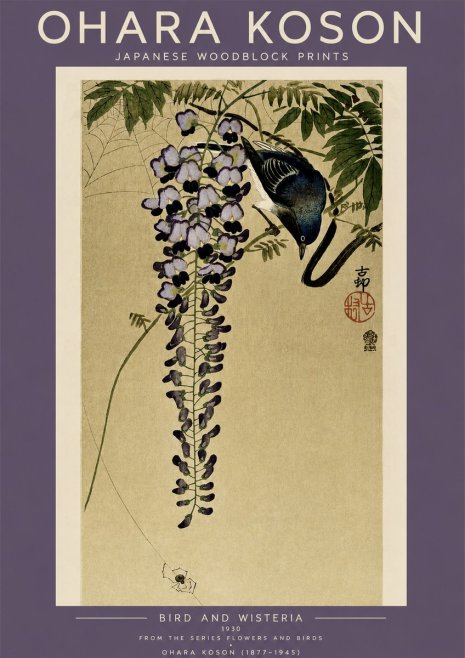Ohara Koson Bird and Wisteria No4 - Poszter