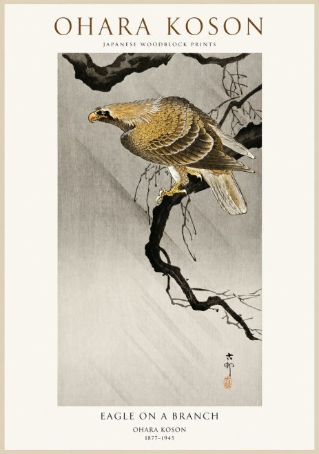 Ohara Koson Eagle on a Branch II No1 - Poszter