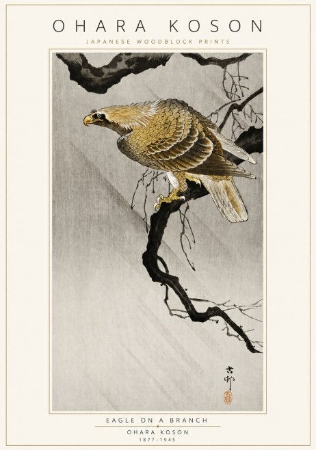Ohara Koson Eagle on a Branch II No3 - Poszter