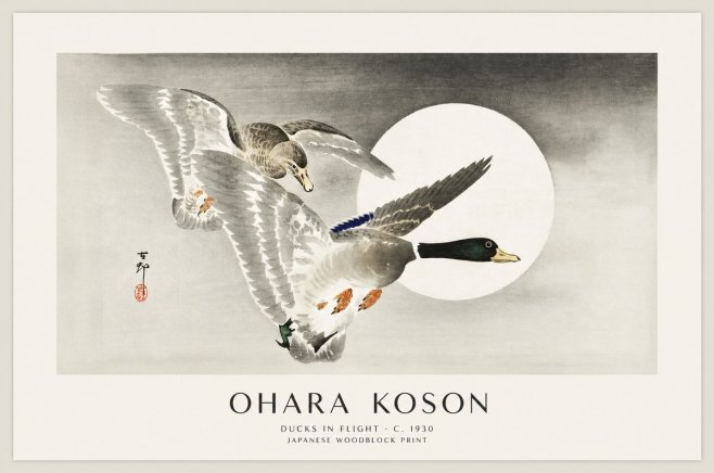 Ohara Koson Ducks in Flight No1 - Poszter