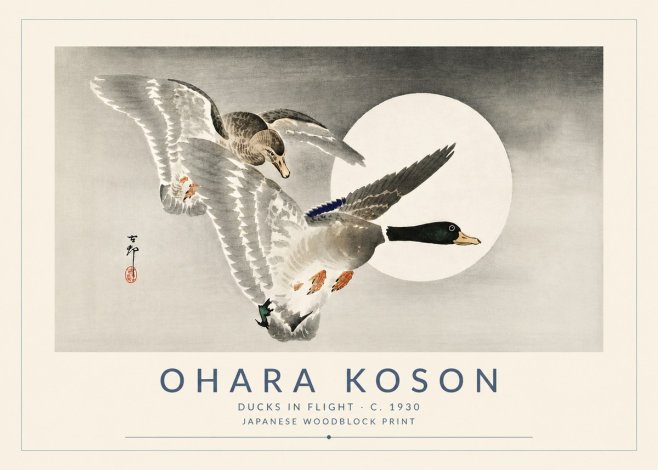 Ohara Koson Ducks in Flight No5 - Poszter
