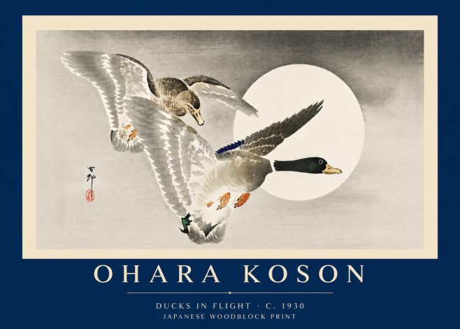 Ohara Koson Ducks in Flight No6 - Poszter