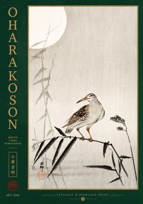 Ohara Koson Bird on a Reed in Moonlight No2 - Poszter