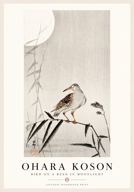 Ohara Koson Bird on a Reed in Moonlight No4 - Poszter