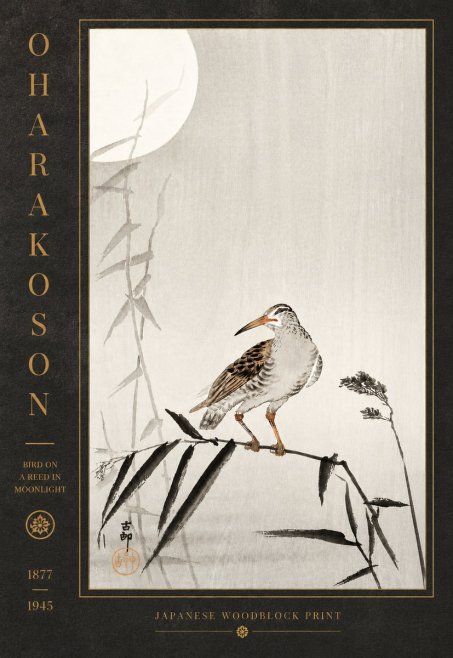 Ohara Koson Bird on a Reed in Moonlight No5 - Poszter