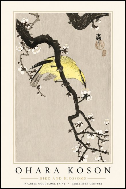 Ohara Koson Bird and Blossoms No3 - Poszter