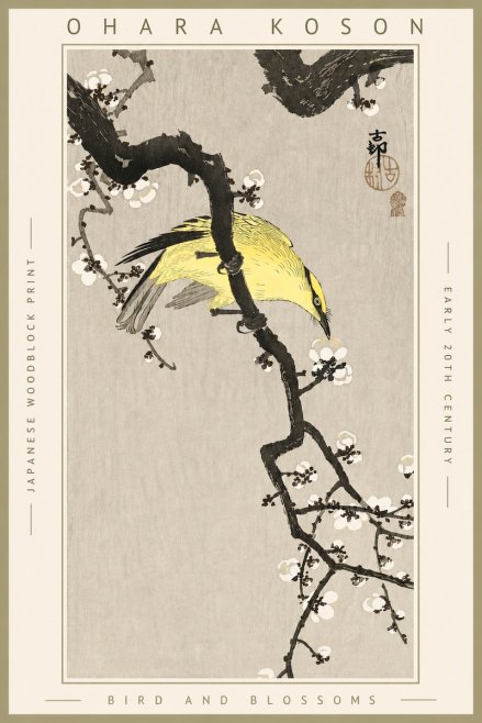 Ohara Koson Bird and Blossoms No4 - Poszter
