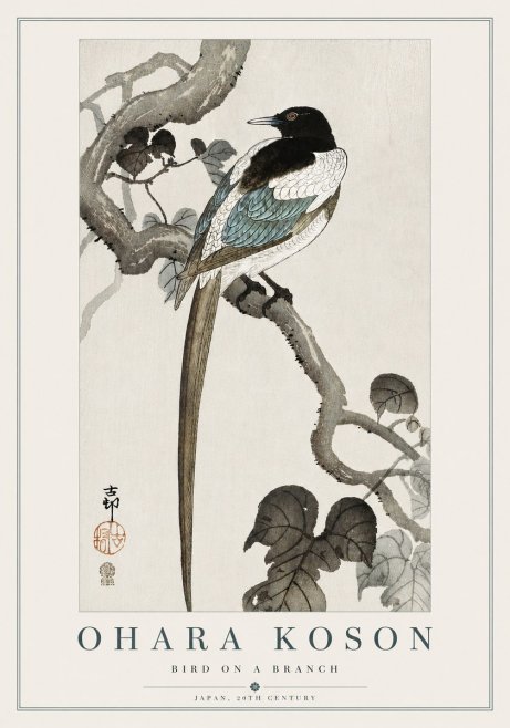 Ohara Koson Bird on a Branch IV No5 - Poszter