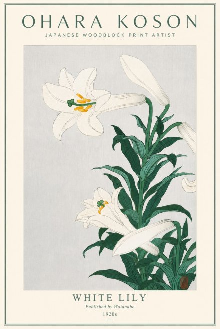 Ohara Koson White Lily No3 - Poszter