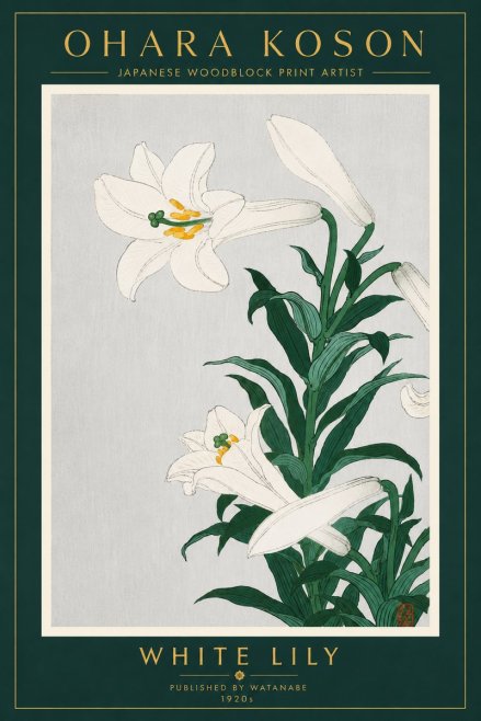 Ohara Koson White Lily No4 - Poszter