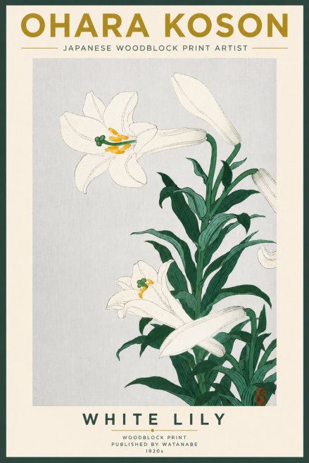 Ohara Koson White Lily No5 - Poszter