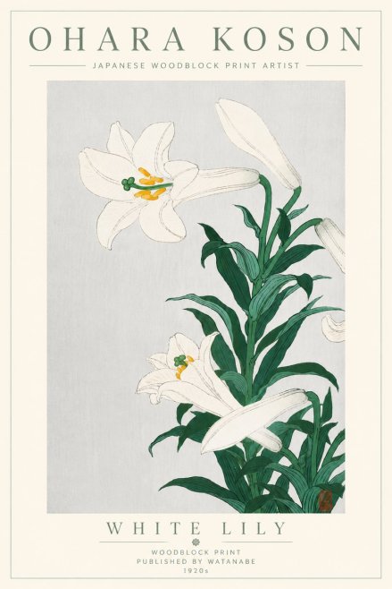 Ohara Koson White Lily No6 - Poszter