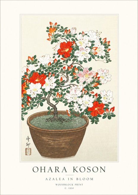 Ohara Koson Azalea in Bloom No1 - Poszter