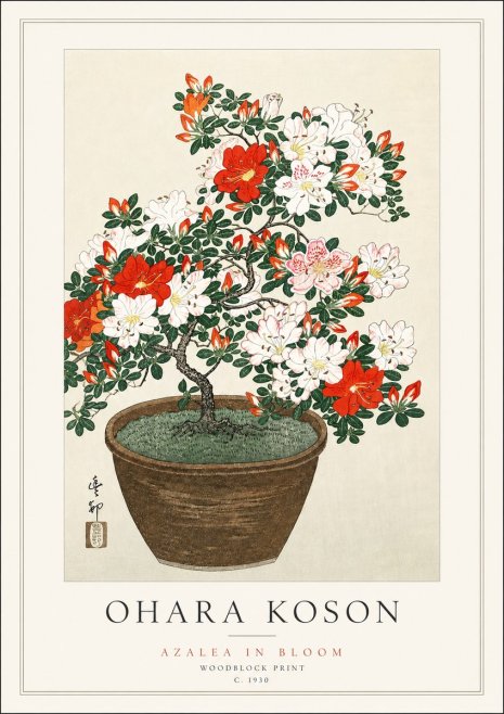 Ohara Koson Azalea in Bloom No3 - Poszter
