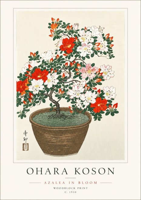 Ohara Koson Azalea in Bloom No6 - Poszter