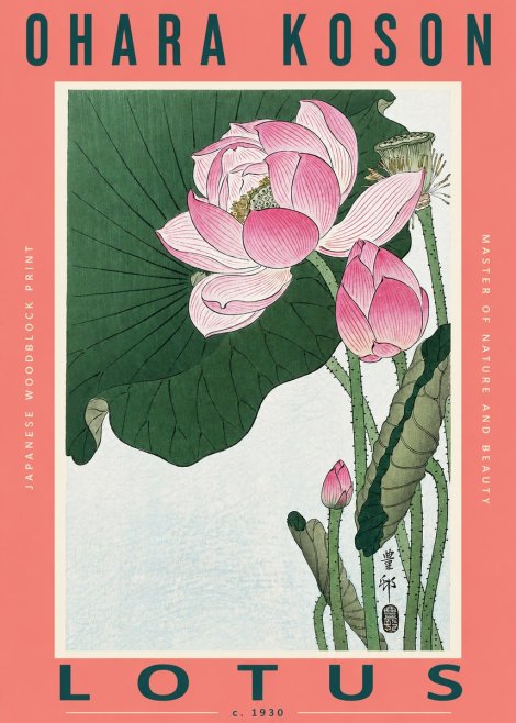Ohara Koson Lotus II No2 - Poszter