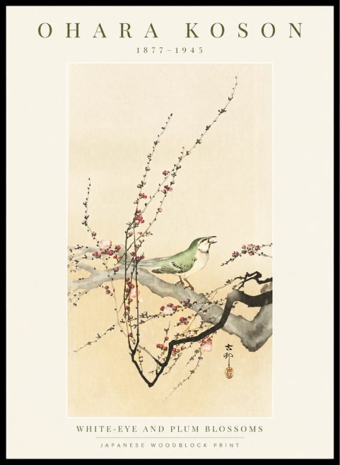 Ohara Koson White-eye and Plum Blossoms No1 - Poszter