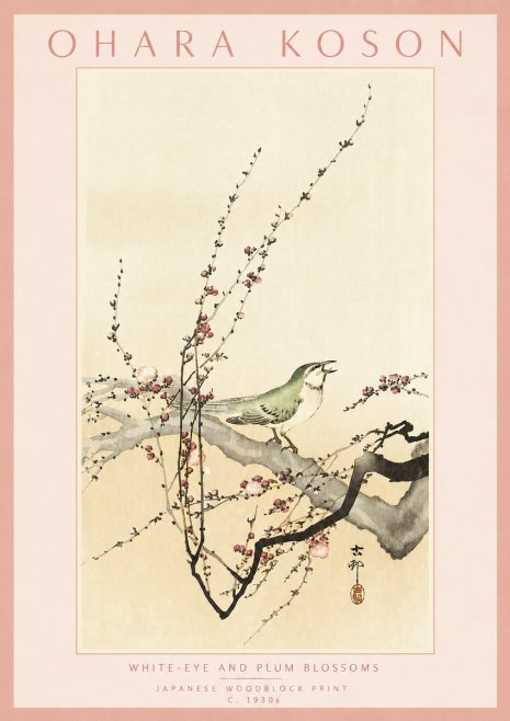 Ohara Koson White-eye and Plum Blossoms No3 - Poszter