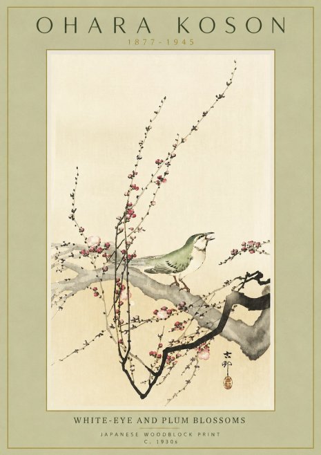 Ohara Koson White-eye and Plum Blossoms No4 - Poszter