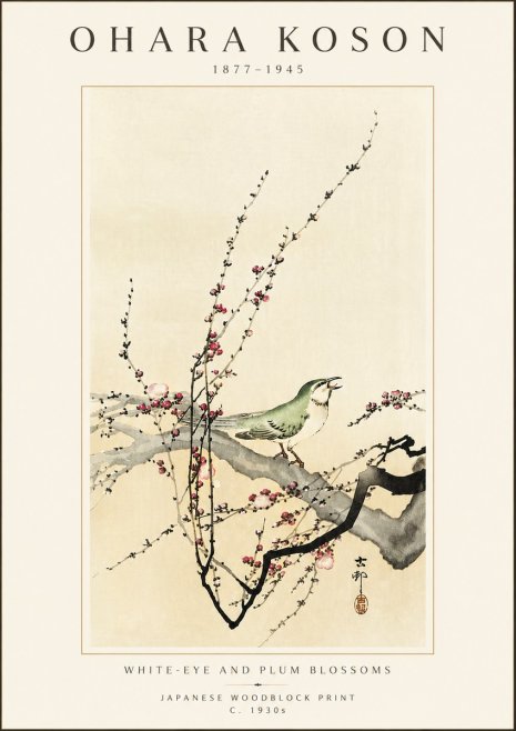 Ohara Koson White-eye and Plum Blossoms No5 - Poszter