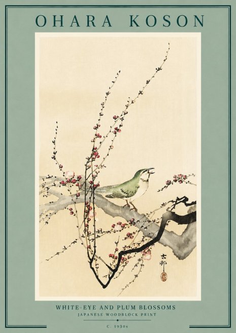 Ohara Koson White-eye and Plum Blossoms No6 - Poszter