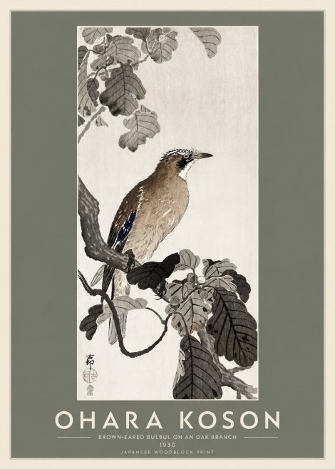 Ohara Koson Brown-eared Bulbul on an Oak Branch No2 - Poszter