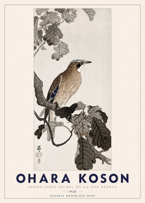 Ohara Koson Brown-eared Bulbul on an Oak Branch No3 - Poszter