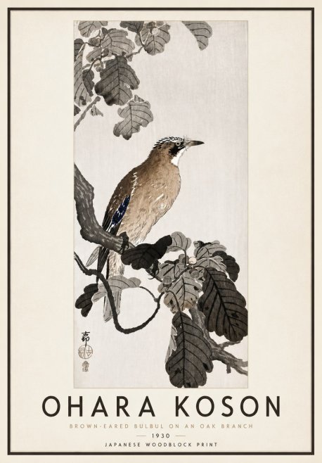 Ohara Koson Brown-eared Bulbul on an Oak Branch No4 - Poszter
