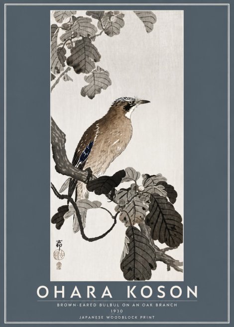 Ohara Koson Brown-eared Bulbul on an Oak Branch No5 - Poszter