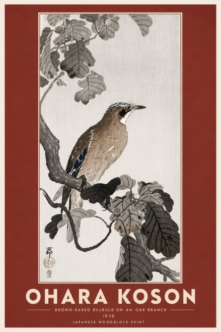 Ohara Koson Brown-eared Bulbul on an Oak Branch No6 - Poszter