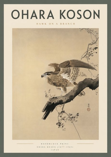Ohara Koson Hawk on a Branch I No2 - Poszter