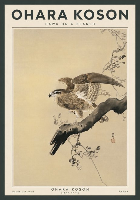 Ohara Koson Hawk on a Branch I No3 - Poszter