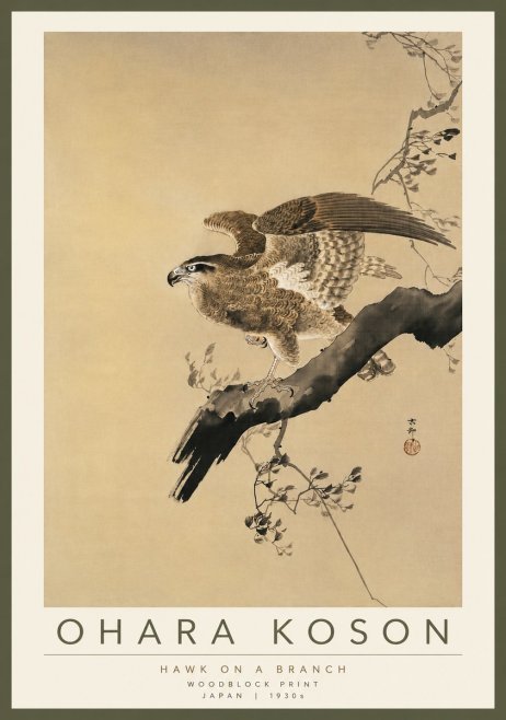 Ohara Koson Hawk on a Branch I No4 - Poszter