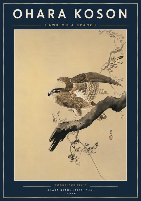 Ohara Koson Hawk on a Branch I No6 - Poszter