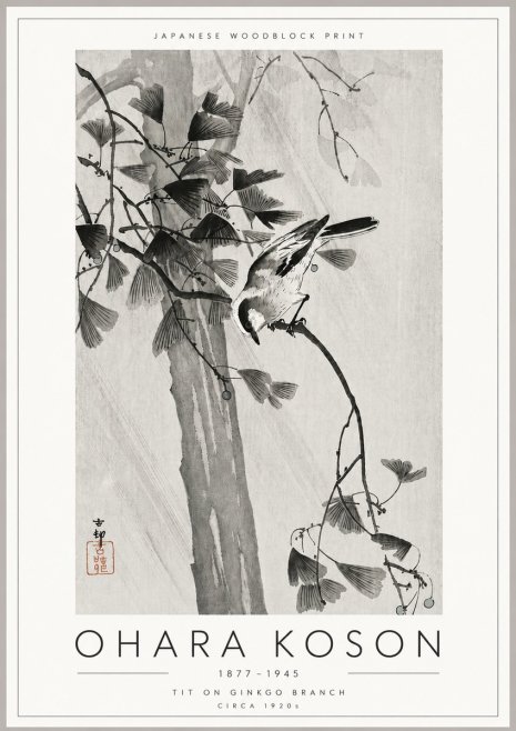 Ohara Koson Tit on Ginkgo Branch No6 - Poszter